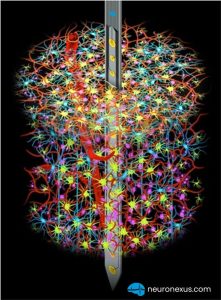 Happy Brain Awareness Week