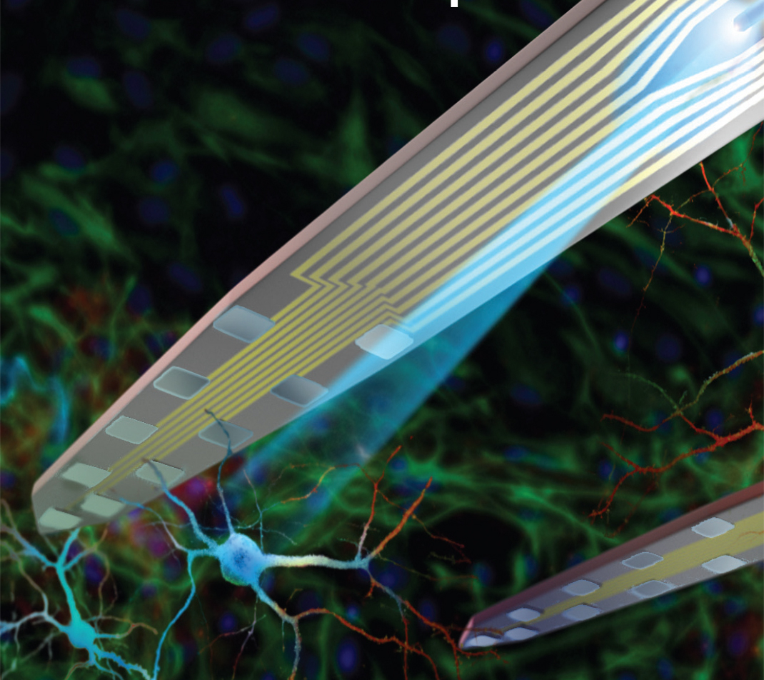 World-Class Neural Interface Products